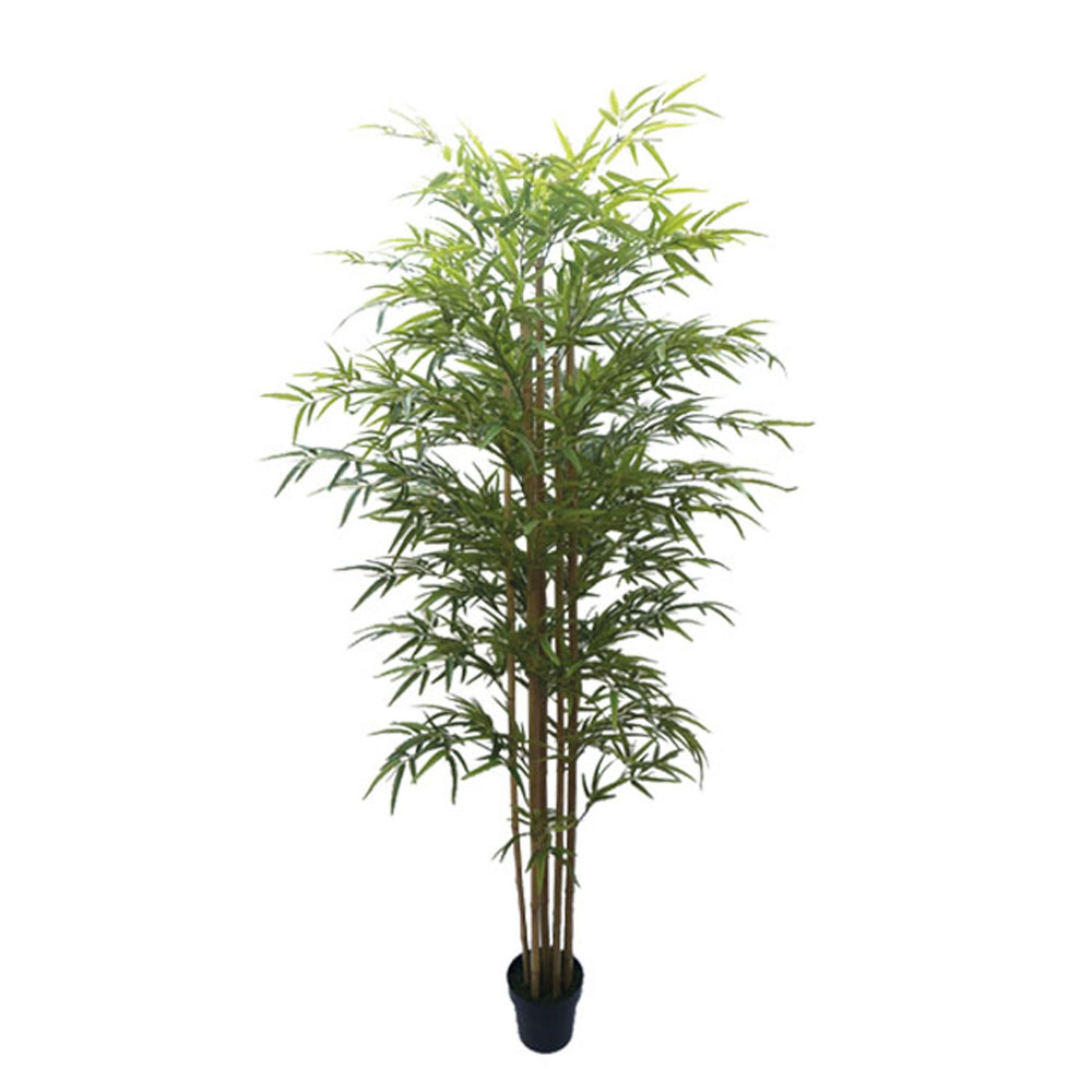 ΔΕΝΤΡΟ ΜΠΑΜΠΟΥ REAL TOUCH ΣΕ ΓΛΑΣΤΡΑ Y180cm - 04-10018